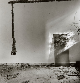 <p>Simryn Gill, My Own Private Angkor - detail 37, 2007-2009</p>
&#169;image: Simryn Gill, Courtesy of the Artist and Tracy Williams, Ltd., New York