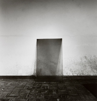 <p>Simryn Gill, My Own Private Angkor - detail 38, 2007-2009</p>
&#169;image: Simryn Gill, Courtesy of the Artist and Tracy Williams, Ltd., New York