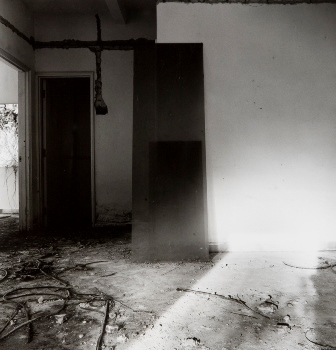 <p>Simryn Gill, My Own Private Angkor - detail 42, 2007-2009</p>
&#169;image: Simryn Gill, Courtesy of the Artist and Tracy Williams, Ltd., New York