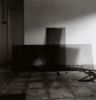 <p>Simryn Gill, My Own Private Angkor - detail 43, 2007-2009</p>
&#169;image: Simryn Gill, Courtesy of the Artist and Tracy Williams, Ltd., New York