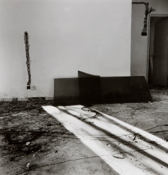 <p>Simryn Gill, My Own Private Angkor - detail 48, 2007-2009</p>
&#169;image: Simryn Gill, Courtesy of the Artist and Tracy Williams, Ltd., New York