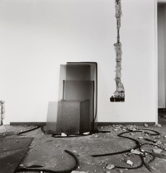 <p>Simryn Gill, My Own Private Angkor - detail 52, 2007-2009</p>
&#169;image: Simryn Gill, Courtesy of the Artist and Tracy Williams, Ltd., New York