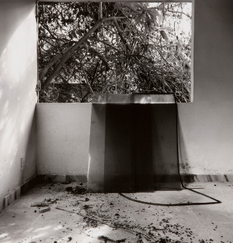 <p>Simryn Gill, My Own Private Angkor - detail 53, 2007-2009</p>
&#169;image: Simryn Gill, Courtesy of the Artist and Tracy Williams, Ltd., New York