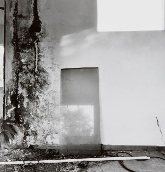 <p>Simryn Gill, My Own Private Angkor - detail 55, 2007-2009</p>
&#169;image: Simryn Gill, Courtesy of the Artist and Tracy Williams, Ltd., New York