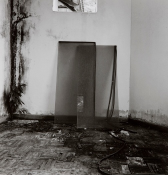 <p>Simryn Gill, My Own Private Angkor - detail 56, 2007-2009</p>
&#169;image: Simryn Gill, Courtesy of the Artist and Tracy Williams, Ltd., New York