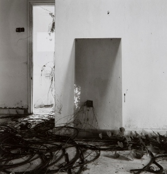 <p>Simryn Gill, My Own Private Angkor - detail 57, 2007-2009</p>
&#169;image: Simryn Gill, Courtesy of the Artist and Tracy Williams, Ltd., New York