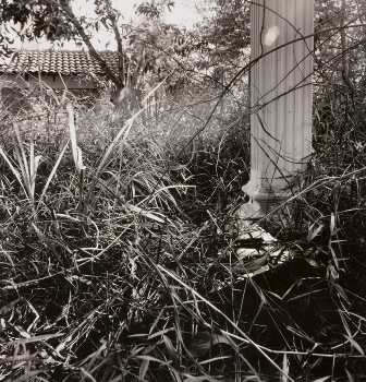 <p>Simryn Gill, My Own Private Angkor - detail 58, 2007-2009</p>
&#169;image: Simryn Gill, Courtesy of the Artist and Tracy Williams, Ltd., New York