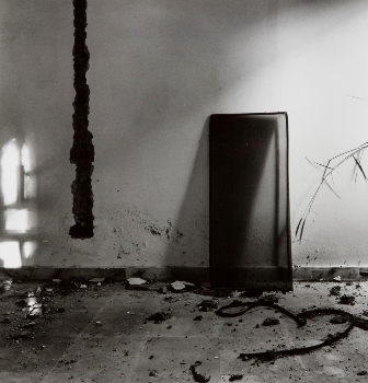 <p>Simryn Gill, My Own Private Angkor - detail 59, 2007-2009</p>
&#169;image: Simryn Gill, Courtesy of the Artist and Tracy Williams, Ltd., New York