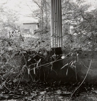 <p>Simryn Gill, My Own Private Angkor - detail 60, 2007-2009</p>
&#169;image: Simryn Gill, Courtesy of the Artist and Tracy Williams, Ltd., New York