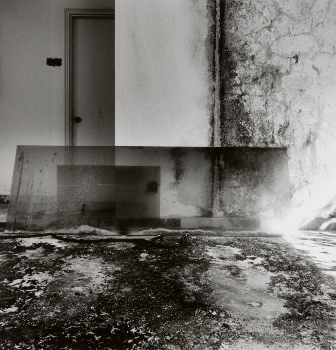 <p>Simryn Gill, My Own Private Angkor - detail 62, 2007-2009</p>
&#169;image: Simryn Gill, Courtesy of the Artist and Tracy Williams, Ltd., New York