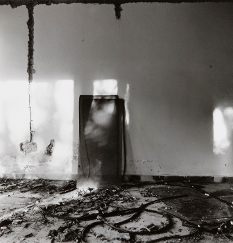 <p>Simryn Gill, My Own Private Angkor - detail 64, 2007-2009</p>
&#169;image: Simryn Gill, Courtesy of the Artist and Tracy Williams, Ltd., New York