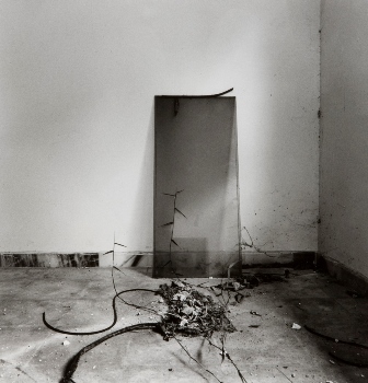 <p>Simryn Gill, My Own Private Angkor - detail 65, 2007-2009</p>
&#169;image: Simryn Gill, Courtesy of the Artist and Tracy Williams, Ltd., New York