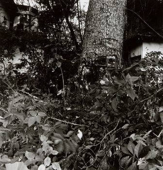 <p>Simryn Gill, My Own Private Angkor - detail 66, 2007-2009</p>
&#169;image: Simryn Gill, Courtesy of the Artist and Tracy Williams, Ltd., New York