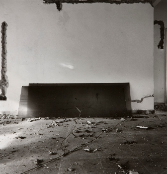 <p>Simryn Gill, My Own Private Angkor - detail 68, 2007-2009</p>
&#169;image: Simryn Gill, Courtesy of the Artist and Tracy Williams, Ltd., New York