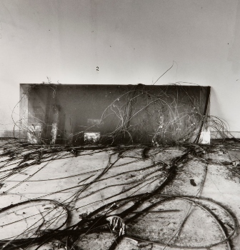 <p>Simryn Gill, My Own Private Angkor - detail 69, 2007-2009</p>
&#169;image: Simryn Gill, Courtesy of the Artist and Tracy Williams, Ltd., New York