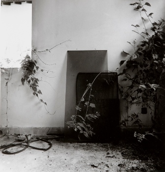 <p>Simryn Gill, My Own Private Angkor - detail 74, 2007-2009</p>
&#169;image: Simryn Gill, Courtesy of the Artist and Tracy Williams, Ltd., New York