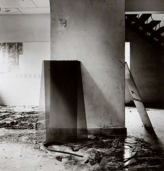 <p>Simryn Gill, My Own Private Angkor - detail 75, 2007-2009</p>
&#169;image: Simryn Gill, Courtesy of the Artist and Tracy Williams, Ltd., New York