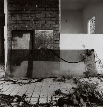 <p>Simryn Gill, My Own Private Angkor - detail 76, 2007-2009</p>
&#169;image: Simryn Gill, Courtesy of the Artist and Tracy Williams, Ltd., New York