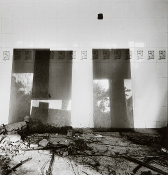 <p>Simryn Gill, My Own Private Angkor - detail 81, 2007-2009</p>
&#169;image: Simryn Gill, Courtesy of the Artist and Tracy Williams, Ltd., New York