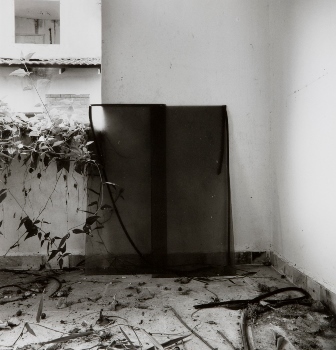 <p>Simryn Gill, My Own Private Angkor - detail 82, 2007-2009</p>
&#169;image: Simryn Gill, Courtesy of the Artist and Tracy Williams, Ltd., New York