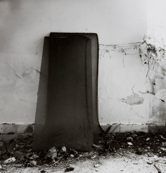 <p>Simryn Gill, My Own Private Angkor - detail 85, 2007-2009</p>
&#169;image: Simryn Gill, Courtesy of the Artist and Tracy Williams, Ltd., New York