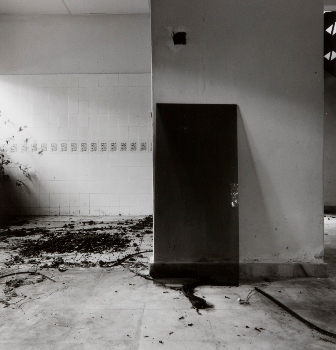 <p>Simryn Gill, My Own Private Angkor - detail 86, 2007-2009</p>
&#169;image: Simryn Gill, Courtesy of the Artist and Tracy Williams, Ltd., New York