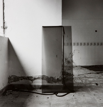 <p>Simryn Gill, My Own Private Angkor - detail 87, 2007-2009</p>
&#169;image: Simryn Gill, Courtesy of the Artist and Tracy Williams, Ltd., New York