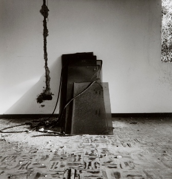 <p>Simryn Gill, My Own Private Angkor - detail 90, 2007-2009</p>
&#169;image: Simryn Gill, Courtesy of the Artist and Tracy Williams, Ltd., New York