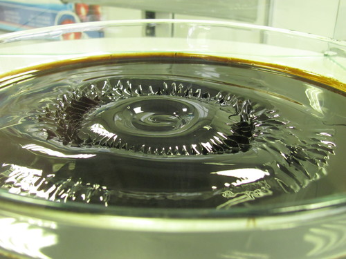 <p>Where Dogs Run -&nbsp;<em>Fields 2.1</em>, 2012.</p>
&#169;image: Where Dogs Run