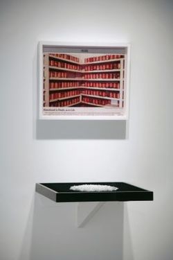 <p>Exhibition view, Gagosian Gallery, 2007.</p>
