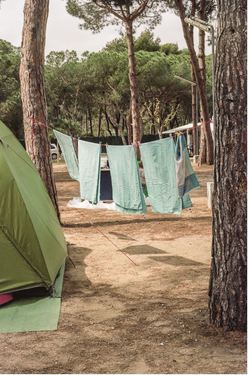 <p>Eva Donckers, <em>Amberes</em>, 2019</p>
&#169;&#169;Courtesy of the artist