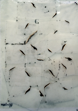 <p><em>Und ein Requiem f&uuml;r Adolf&nbsp; </em>(1977) - 3 - from raul, displayed at the Leon van Essche exhibition at ICC, Antwerp, March 14 - April 19, 1981</p>
&#169;scan: Wilfried Wijnants, 2018