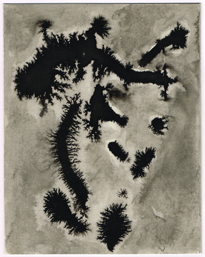 <p>Entangling Dreams of a Slimemouldworm_13, 1981.<br />
Published in: Simon Delobel, <em>Leon Van Essche |LVE| |LAURENS| |RUTH ZWART| |RAUL|. </em> Herentals Art Center Hugo Voeten, 2018, p.54</p>
&#169;scan: Wilfried Wynants