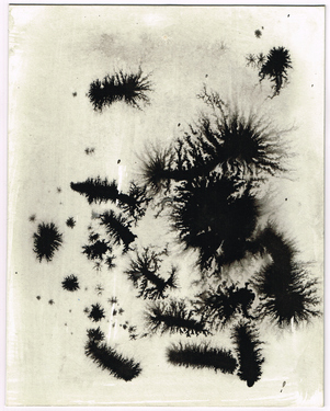 <p>Entangling Dreams of a Slimemouldworm_27, 1981</p>
&#169;scan: Wilfried Wynants