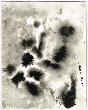 <p>Entangling Dreams of a Slimemouldworm_32, 1981</p>
&#169;scan: Wilfried Wynants