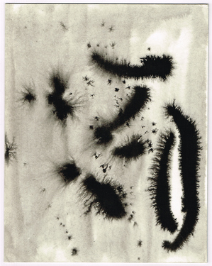 <p>Entangling Dreams of a Slimemouldworm_33, 1981</p>
&#169;scan: Wilfried Wynants