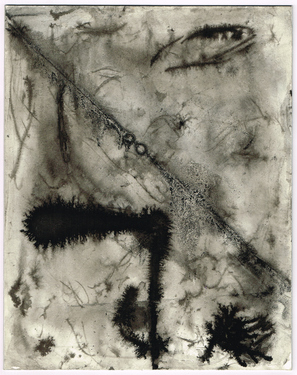 <p>Entangling Dreams of a Slimemouldworm_41, 1981</p>
&#169;scan: Wilfried Wynants