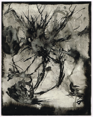 <p>Entangling Dreams of a Slimemouldworm_42, 1981</p>
&#169;scan: Wilfried Wynants