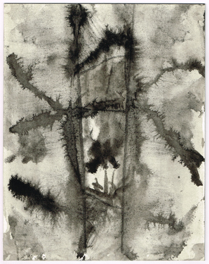 <p>Entangling Dreams of a Slimemouldworm_48, 1981</p>
&#169;scan: Wilfried Wynants