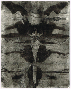 <p>Entangling Dreams of a Slimemouldworm_59, 1981</p>
&#169;scan: Wilfried Wynants