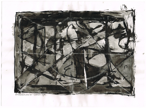 <p>The Bedwin Flux. Brunnenstein Landscape. 1989</p>
©scan: Wilfried Wynants