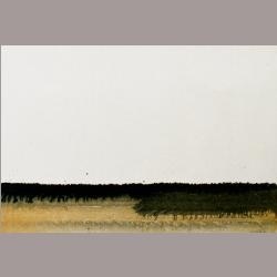 • 0664 • Paysage flamand / Vlaams Landschap