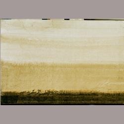 • 0669 • Paysage flamand / Vlaams Landschap