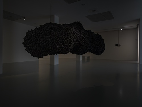 <p>Shilpa Gupta, <em>Singing Cloud </em>& <em>Untitled</em>, 2008-2009</p>
©image:  Pat Verbruggen, Courtesy Louisiana Museum of Modern Art, Humlebæk, Denmark. Acquired with funding from The Augustinus Foundation