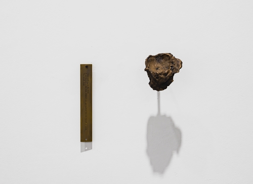 <div>
<p>Shilpa Gupta,<em> A Liquid, the Mouth Froze</em>, 2018</p>
</div>
&#169;image:  M HKA, Courtesy the artist