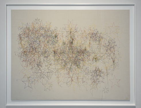 <div>
<p>Shilpa Gupta, <em>Stars on Flags of the World</em>, 2012</p>
</div>
&#169;image:  M HKA, Private collection