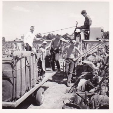 <p lang="en-US" style="margin-bottom: 0cm; font-style: normal">Canada, Ontarion tobacco belt</p>

<p lang="en-US" style="margin-bottom: 0cm; font-style: normal">Jef Lambrecht took part in a travel-work program called &#39;Belgen in de Wereld&#39; in the summer of 1967. It was an important first grand trip; visiting New York, working on a farm in the Ontario Tobacco belt, sightseeing in Toronto, Niagra Falls but also visiting the Expo &#39;67 in Montreal.</p>
&#169;&#169;Samarkand