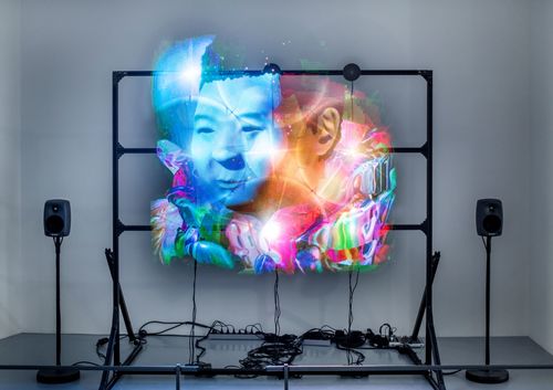 <p>The Master Algorithm, 2019&nbsp;(installation view, EURASIA &ndash; A Landscape of Mutability, 2021)</p>
&#169;Zheng Maler. Photo: Wim Van Eesbeek