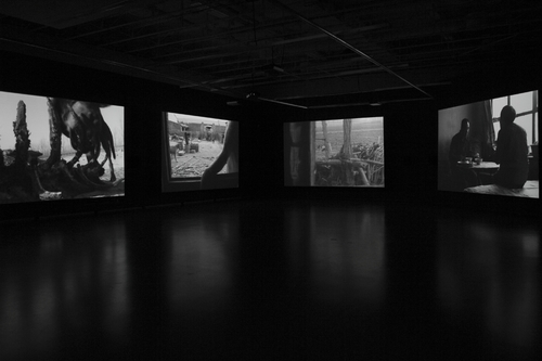 <p><em>East of Que Village</em>, 2007 (installation view, M HKA - FOMU, 2009) </p>
© Photo: M HKA