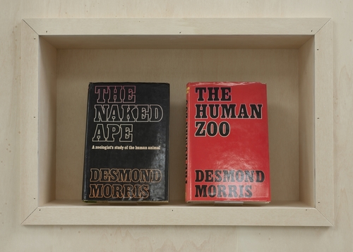 <p>Desmond Morris (exhibition view, MONOCULTURE – A Recent History, 2020, M HKA)</p>
©©Photo: MHKA